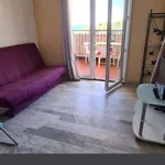 Appartement de 21 m² avec 1 chambre(s) en location à Ajaccio