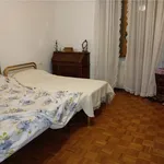 Rent 3 bedroom apartment of 130 m² in Piacenza