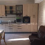 Rent 3 bedroom apartment of 113 m² in Carugate