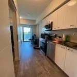 Rent 1 bedroom apartment in Kingston