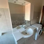 Rent 4 bedroom apartment of 80 m² in Adria