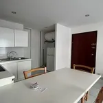  appartement avec 1 chambre(s) en location à VILLE-DI-PIETRABUGNO