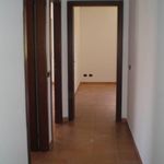 Affittasi Appartamento, Luminoso appartamento non arredato - Annunci Marino (Roma) - Rif.564554