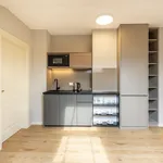 Pronajměte si 2 ložnic/e byt o rozloze 45 m² v Prague