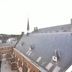 Huur 1 slaapkamer appartement in DENDERMONDE