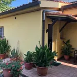 Rent 1 bedroom house of 35 m² in Calcinaia