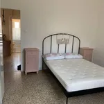 Rent 3 bedroom apartment of 58 m² in Bologna