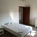 Rent a room in Bologna