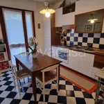 Rent 4 bedroom apartment of 117 m² in Padua