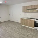 Rent 2 bedroom apartment of 72 m² in Ivanovice na Hané