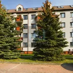 Rent 2 bedroom apartment of 52 m² in Warsaw