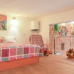 Rent 1 bedroom apartment in madrid