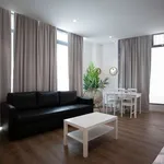 Rent 1 bedroom apartment of 50 m² in madrid