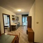 Rent 2 bedroom apartment of 40 m² in Rome