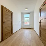 Rent 3 bedroom apartment in Hodonín