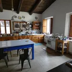 Rent 4 bedroom house of 163 m² in Urbino