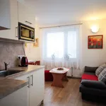 Rent 1 bedroom apartment of 40 m² in Prague