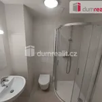 Rent 1 bedroom apartment in Plzeň