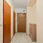 Rent 2 bedroom apartment of 53 m² in Ústí nad Labem