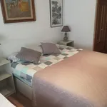 Alquilar 3 dormitorio apartamento en Alicante