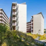 Rent 1 bedroom apartment of 23 m² in Flemingsberg