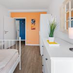 Miete 2 Schlafzimmer wohnung von 45 m² in Leipzig