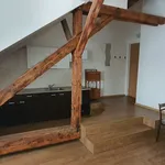 Rent 1 bedroom apartment in Hodonín