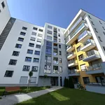 Rent 2 bedroom apartment of 49 m² in Poznan