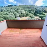 Rent 4 bedroom apartment of 60 m² in Castiglione della Pescaia