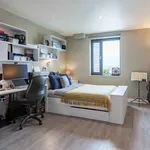 Rent 1 bedroom flat in Exeter