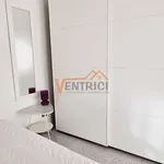 Rent 1 bedroom apartment of 50 m² in Legnano