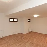 Rent 1 bedroom house of 320 m² in Prague