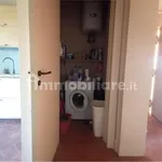 Rent 3 bedroom apartment of 90 m² in Catania