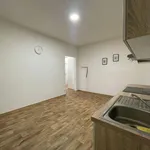 Rent 3 bedroom apartment of 60 m² in Pilsen