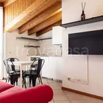 Rent 2 bedroom apartment of 50 m² in Milano