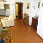 Rent 1 bedroom apartment of 65 m² in Arezzo