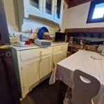 Rent 3 bedroom apartment of 60 m² in Pisa