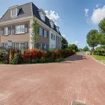 Rent 8 bedroom house of 348 m² in Kraayenstein en Vroondaal