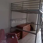 Rent 1 bedroom apartment of 35 m² in Frosinone