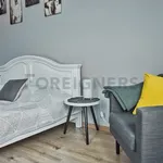 Rent 1 bedroom apartment of 30 m² in Capital City of Prague