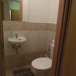 Pronajměte si 1 ložnic/e byt o rozloze 55 m² v Prague