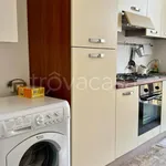 Rent 2 bedroom apartment of 50 m² in Milano