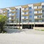 Rent 2 bedroom apartment of 54 m² in Graz