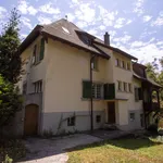 Rent 4 bedroom apartment of 85 m² in Aarberg