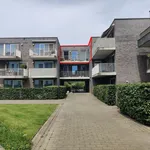 Appartement de 75 m² avec 2 chambre(s) en location à GEEL