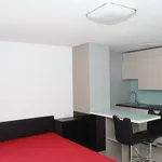 Rent 1 bedroom apartment of 32 m² in München