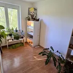 Rent 2 bedroom apartment of 50 m² in Planá