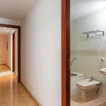 Rent a room of 150 m² in alicante