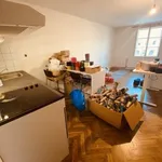 Rent 1 bedroom apartment of 43 m² in Telč