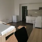 Rent 1 bedroom apartment of 32 m² in Brno